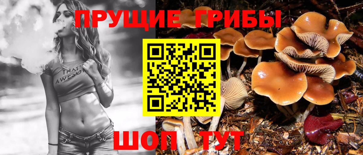 Галлюциногенные грибы ЛСД  Вход с VPN  Ковров 