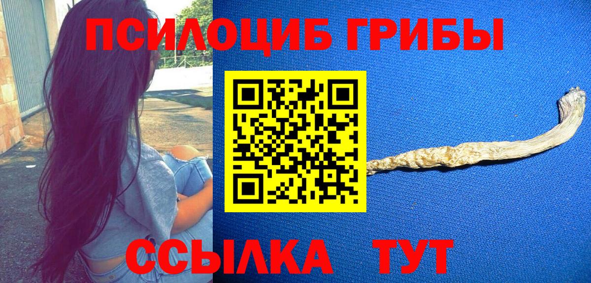 Псилоцибиновые грибы Cubensis Ковров